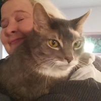 the other dark kitty 