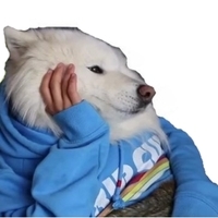 Enjoy Coub