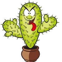 Kaktus
