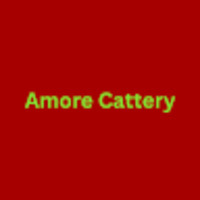 Amore Cattery