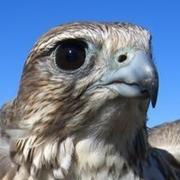 Михаил Постников