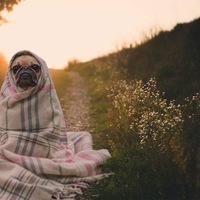Анастасия Частная