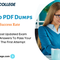 DOP-C01 Exam Dumps