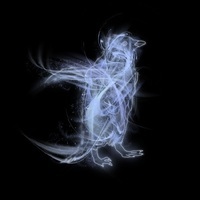 Smoky Penguin