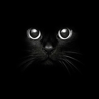 Алиса Тихонова