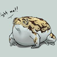 RainFrog