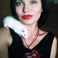 Lata