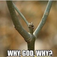 Брухуил Тяпкин