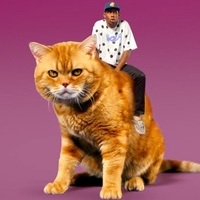 Spacecat