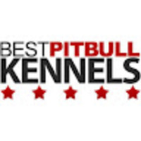 Best XL Pitbull Kennels