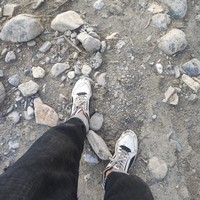 فوخ دیس شت