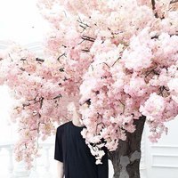 의소년입니다