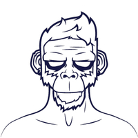 monkozzz