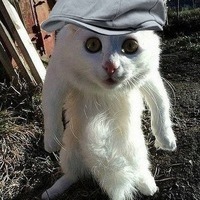 Максим Малостенко
