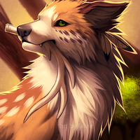 Anime DoG
