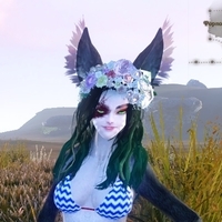 Marish Ferre