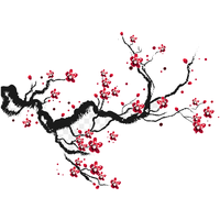 Kudokushi