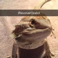 iRevolverOcelot