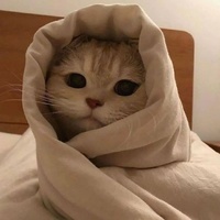 Innokentiy Shniperson