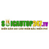 Soi cầu top 247 - Website Soi Cầu 247 miền bắc miễn phí