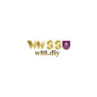 W88 DIY
