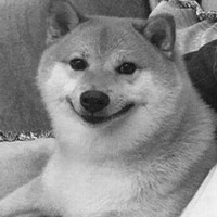 Liam's cute animal zoo (abandoned)