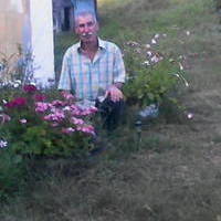 Митрофан Алёхин