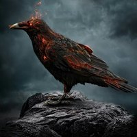 Антон Кузнецов