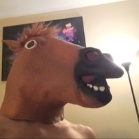TheTexas