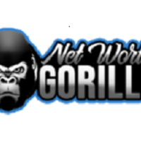 Networthgorilla