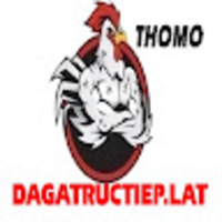 Đá Gà Trực Tiếp