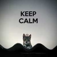 Александр Хорош