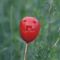 Костя