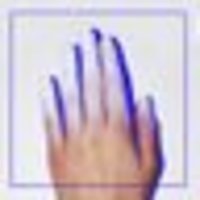 F X R G E
