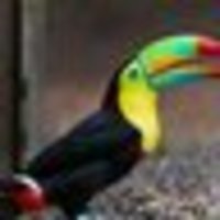 Рюриковичъ