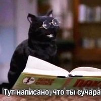 Nemoy
