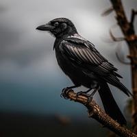 ᶠᶸᶜᵏMe𓀐𓂸Admina Mama $ųçķ mý bäłł§
