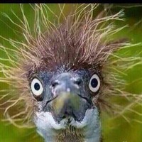 Un Extraño En La Red