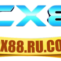 bcx88