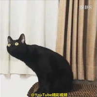 MaZZai