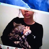 shira
