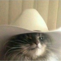 Wild_West_Kitty 
