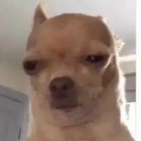 UrAverageHater