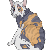 warrior cat name generator