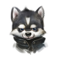 Виктор Проводник