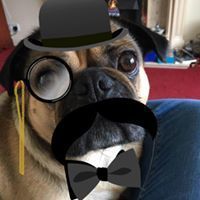 Jillian McAdam Miller