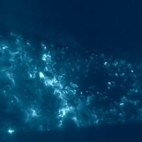 HeavyLight