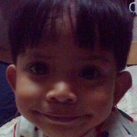Elvincent XD