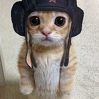 Вадим Куликов