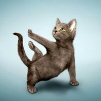 костик